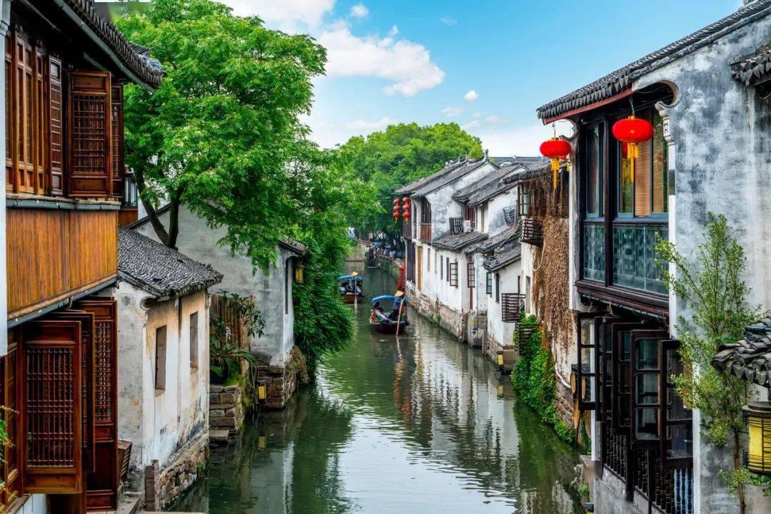 寻找迷路的松鼠